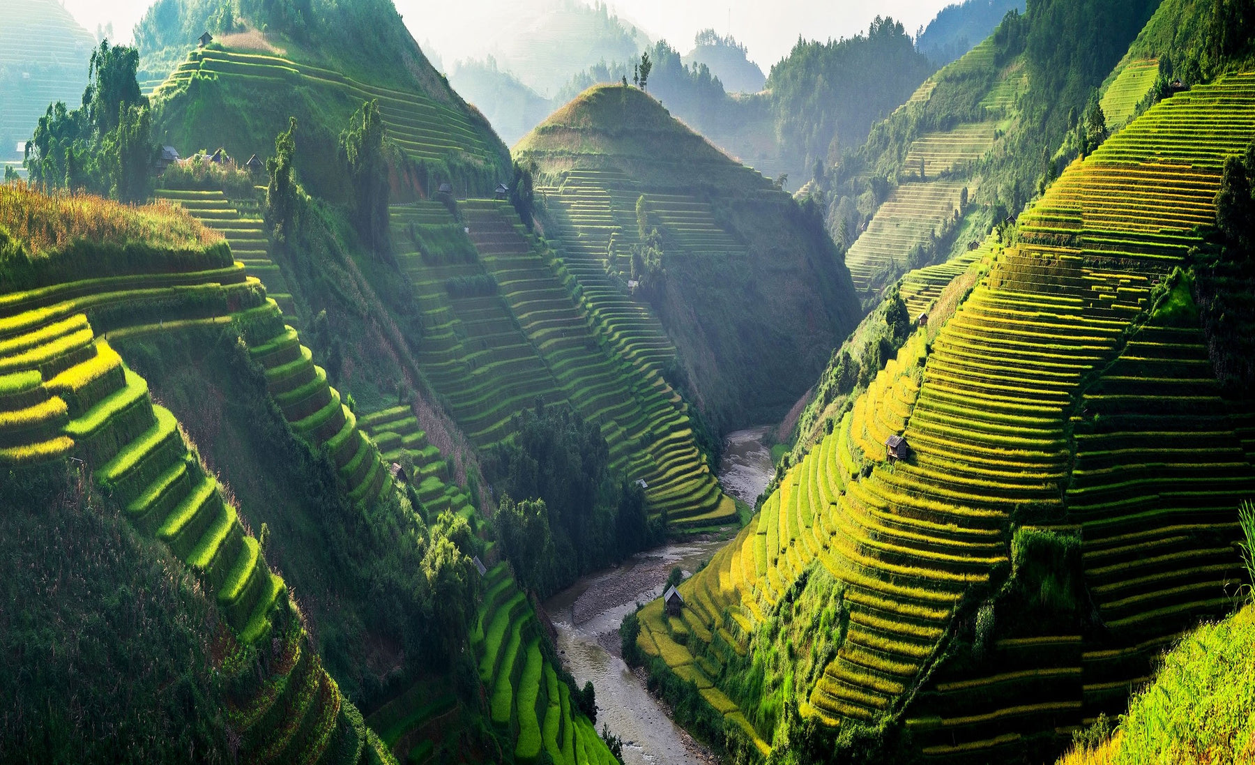 About Vietnam eSIM